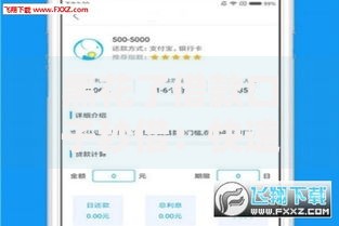 黑花了借款口子秒借：快速到账的借款渠道有哪些风险？