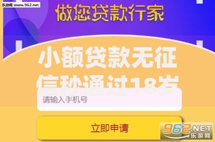小额贷款无征信秒通过18岁：申请条件与流程详解