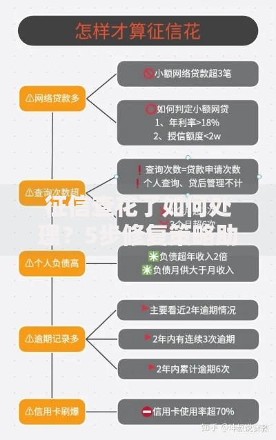 征信查花了如何处理？5步修复策略助你轻松申请贷款