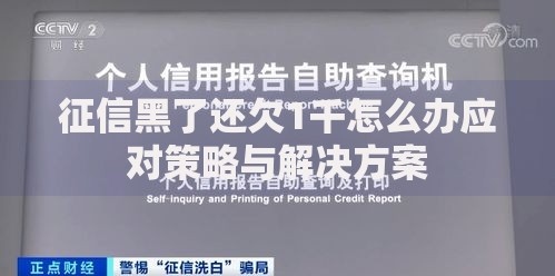 征信黑了还欠1千怎么办应对策略与解决方案