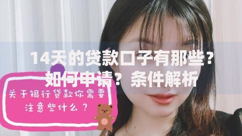 14天的贷款口子有那些？如何申请？条件解析