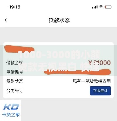 1000-3000的小额贷款无视黑白 快速到账条件与平台推荐
