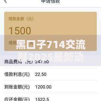 黑口子714交流群2025最新动向与风险深度解析
