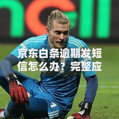 京东白条逾期发短信怎么办？完整应对指南