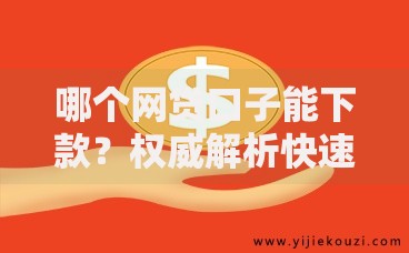 哪个网贷口子能下款？权威解析快速下款平台的选择技巧