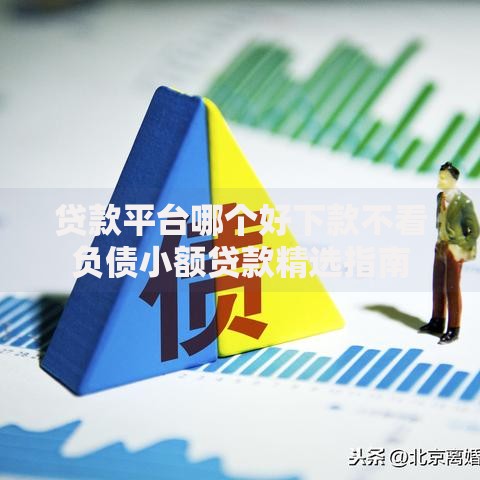 贷款平台哪个好下款不看负债小额贷款精选指南