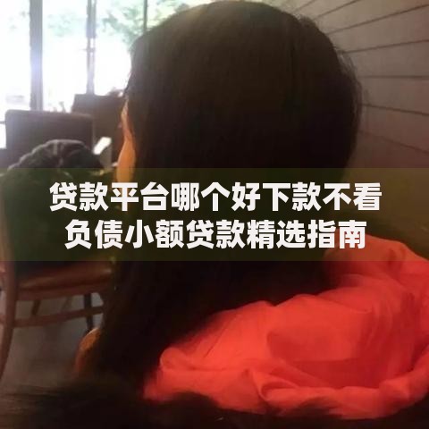 贷款平台哪个好下款不看负债小额贷款精选指南