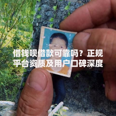 借钱呗借款可靠吗？正规平台资质及用户口碑深度解析