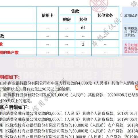征信花了哪里可以借到钱100%通过的贴吧？深度解析贷款渠道与避坑指南