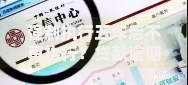 强制执行五年后不再执行？贷款逾期处理规则深度解析