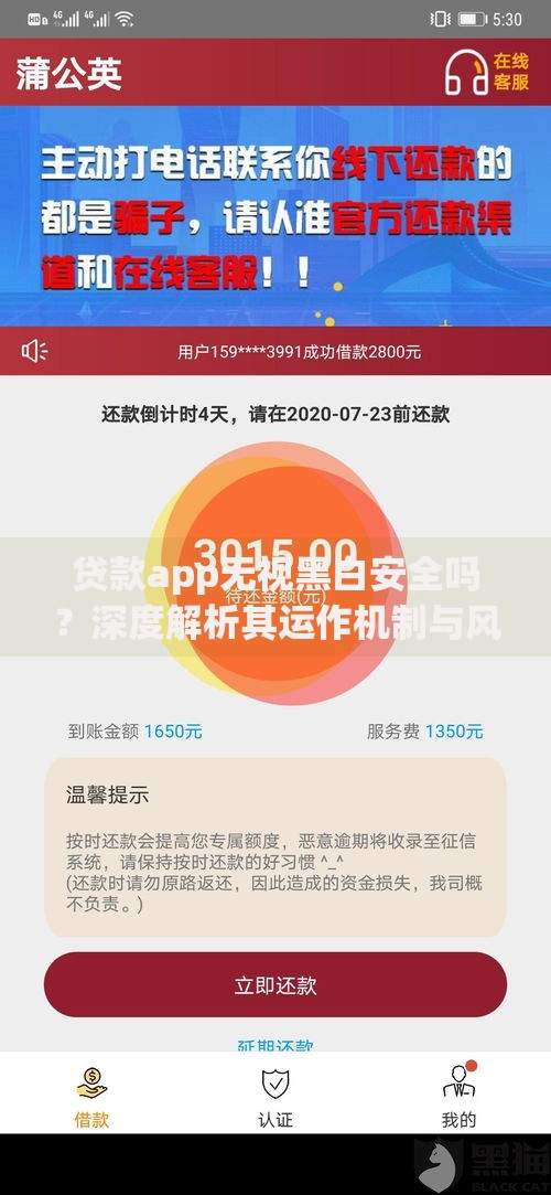 贷款app无视黑白安全吗？深度解析其运作机制与风险
