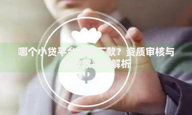哪个小贷平台最好下款？资质审核与放款效率全解析