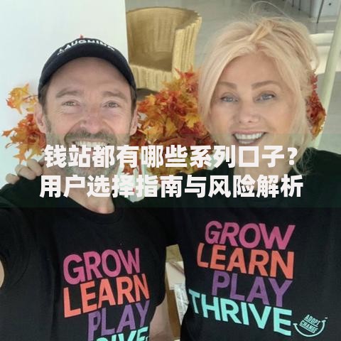 钱站都有哪些系列口子？用户选择指南与风险解析