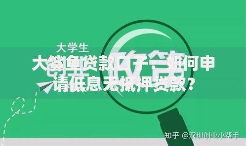 大鲨鱼贷款口子：如何申请低息无抵押贷款？