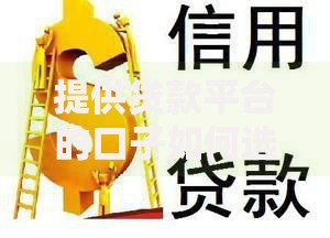 提供贷款平台的口子如何选择最安全可靠？