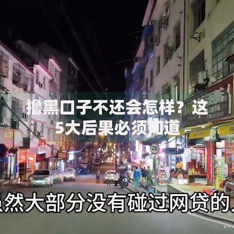 撸黑口子不还会怎样？这5大后果必须知道
