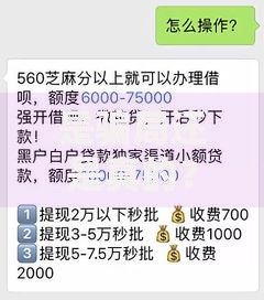 是骗局还是真的？快来贷99元包下款深度解析