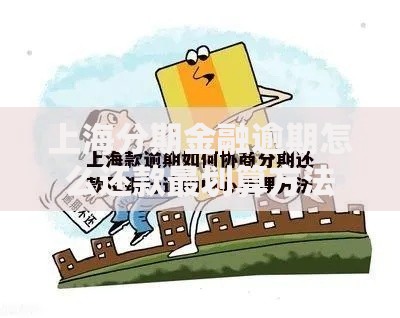 上海分期金融逾期怎么还款最划算方法与策略解析