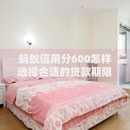 蚂蚁信用分600怎样选择合适的贷款期限？三大策略助你精准规划