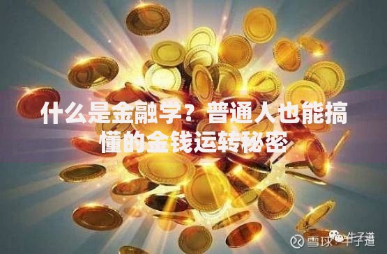 什么是金融学？普通人也能搞懂的金钱运转秘密