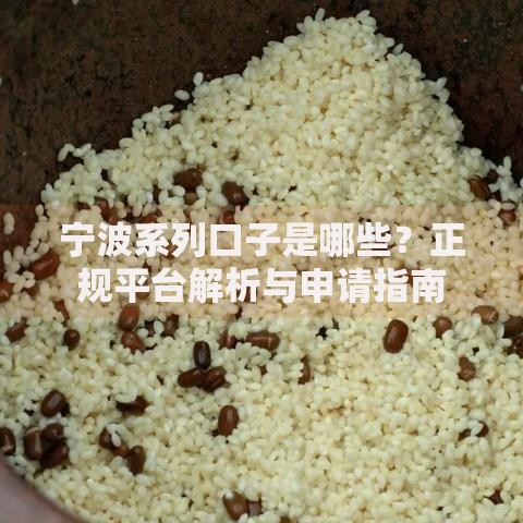 宁波系列口子是哪些？正规平台解析与申请指南