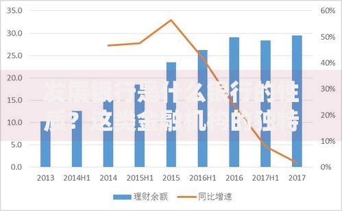 发展银行是什么银行的性质？这类金融机构的独特定位与核心功能解析