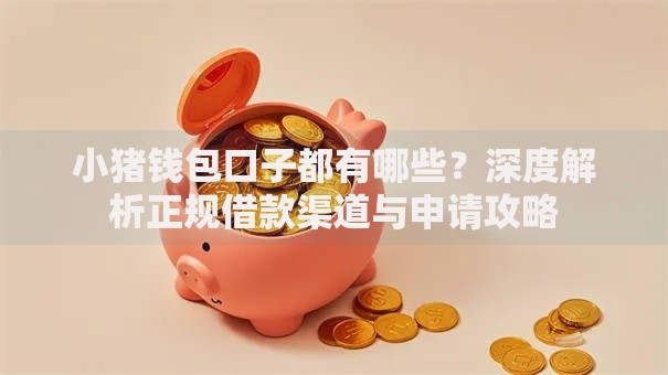 小猪钱包口子都有哪些?深度解析正规借款渠道与申请攻略 小猪钱包口子都有哪些?深度解析正规借款渠道与申请攻略