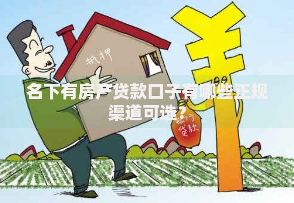 名下有房产贷款口子有哪些正规渠道可选？