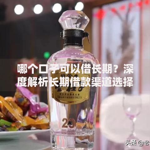 哪个口子可以借长期？深度解析长期借款渠道选择