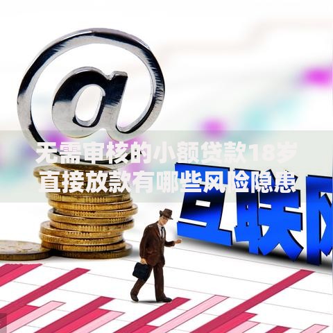 无需审核的小额贷款18岁直接放款有哪些风险隐患？