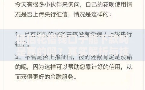 征信花借钱口子能下款吗是真的吗？真实解析与技巧