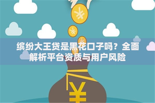 缤纷大王贷是黑花口子吗？全面解析平台资质与用户风险