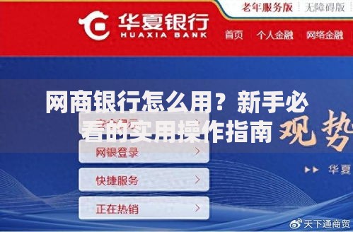 网商银行怎么用？新手必看的实用操作指南