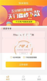 为什么2025年的网贷下款速度更快？技术驱动与政策优化解析
