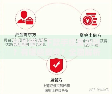 随星借好下款手续复杂吗？有哪些要求？全面解析资质与流程