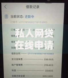私人网贷在线申请：资质要求与安全借款全解析