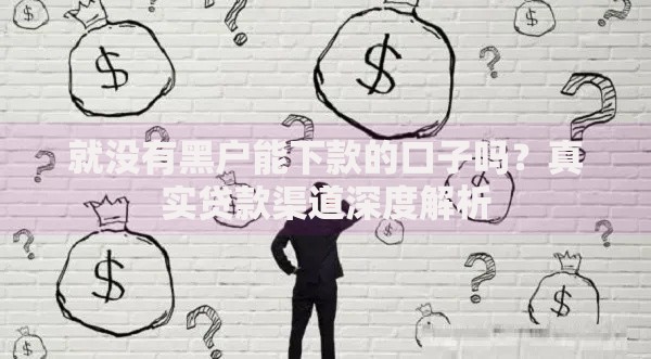 就没有黑户能下款的口子吗？真实贷款渠道深度解析