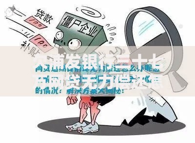 欠浦发银行三十七万网贷无力偿还怎么办？解决方案与风险规避指南