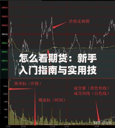 怎么看期货：新手入门指南与实用技巧解析
