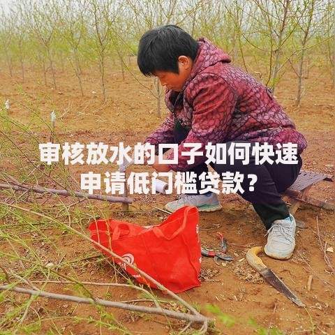 审核放水的口子如何快速申请低门槛贷款？