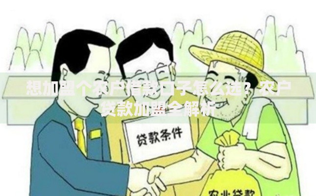 想加盟个农户借款口子怎么选？农户贷款加盟全解析