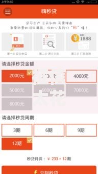 征信太花秒下的贷款有哪些正规平台？如何快速申请？
