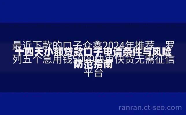 十四天小额贷款口子申请条件与风险防范指南
