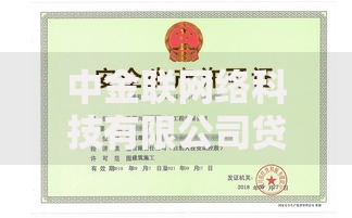 中金联网络科技有限公司贷款产品如何选择？资质解析与方案定制指南