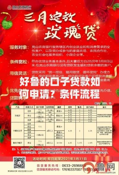 好鲁的口子贷款如何申请？条件流程与风险解析