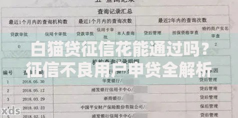 白猫贷征信花能通过吗？征信不良用户申贷全解析
