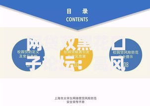 网贷双黑花口子论坛：高风险贷款如何避免陷阱？