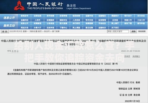 给别人现金汇款怎么查？手把手教你追踪资金去向