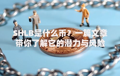 SHLB是什么币？一篇文章带你了解它的潜力与风险