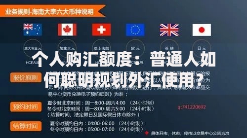 个人购汇额度：普通人如何聪明规划外汇使用？